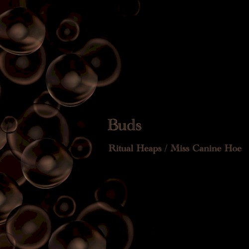 Buds
