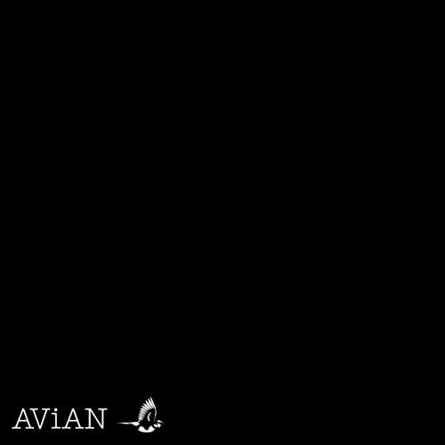 AVN002
