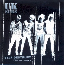 Self Destruct: Punk Can Take It II
