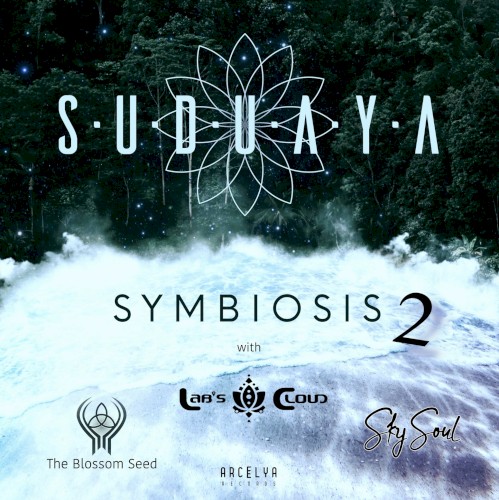 Symbiosis Part 2