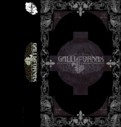 Gallia Fornax
