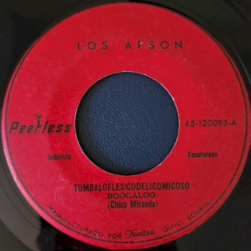 Tumbaloflesicodelicomicoso / Fue en un carrusel