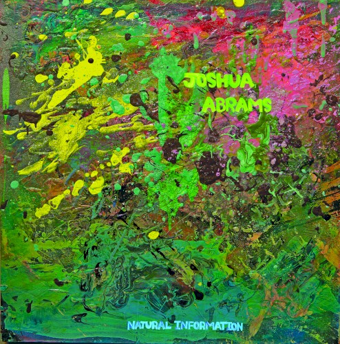 Natural Information