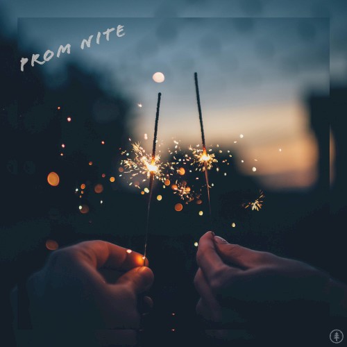 Prom Nite