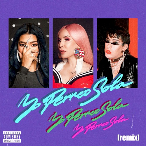 Yo perreo sola (remix)