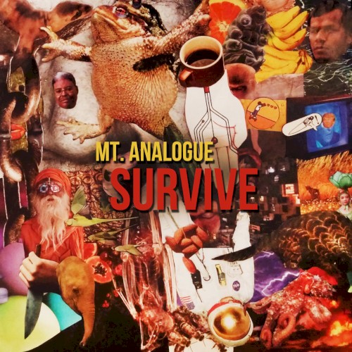 MT. ANALOGUE - SURVIVE