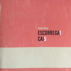 Escorrega 1 Cai 5