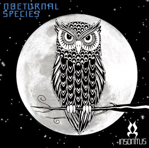 Nocturnal Species