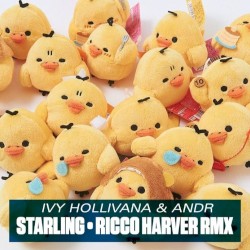 Starling (Ricco Harver remix)