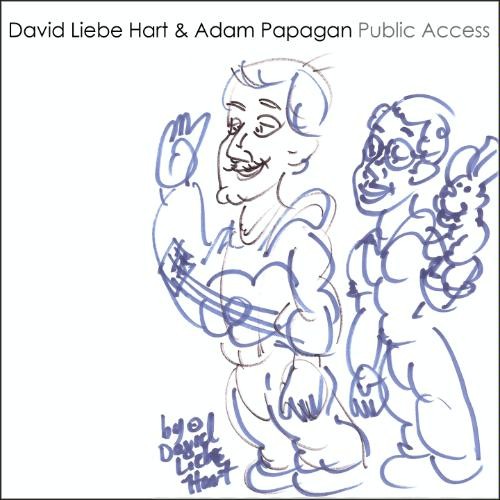 Public Access