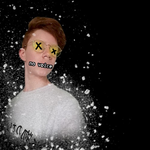 no voice