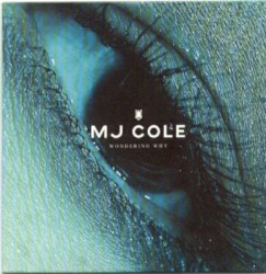 Wondering Why