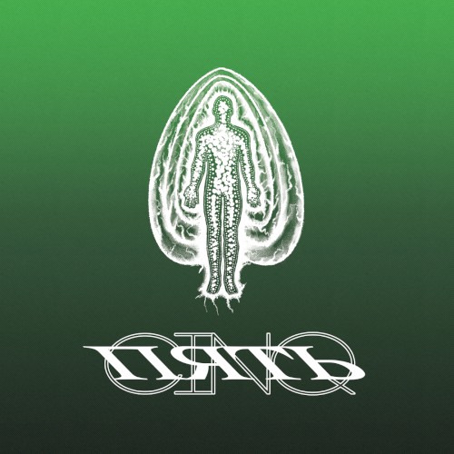 5 Year Remixes