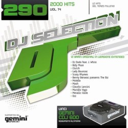 DJ Selection 290: 2000 Hits, Vol. 14