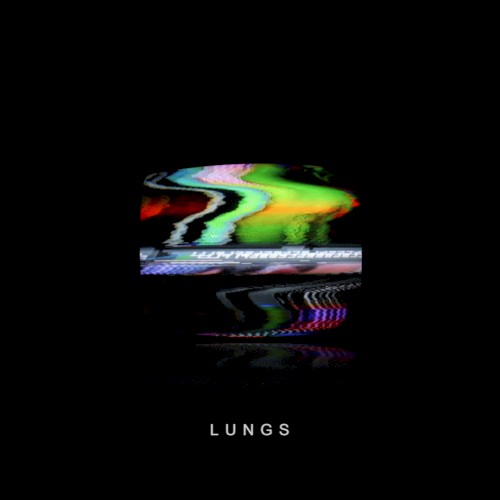 Lungs