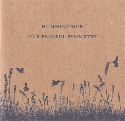 Our Fearful Symmetry