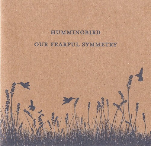 Our Fearful Symmetry