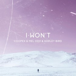 I Won't