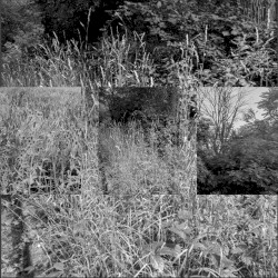 ቀጥታ
