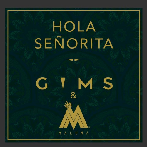 Hola señorita