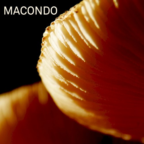 Macondo