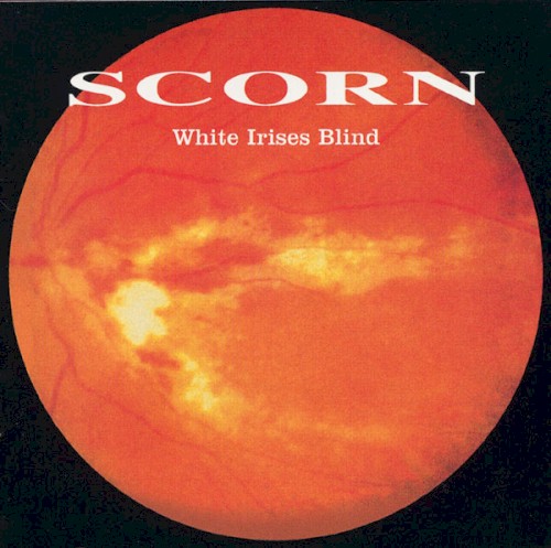 White Irises Blind