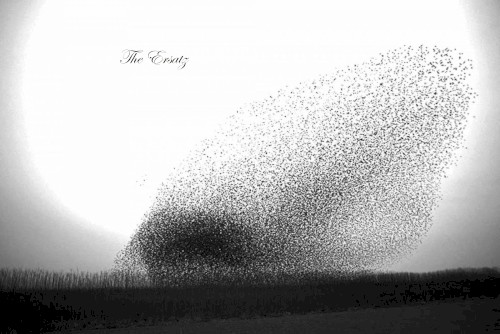 The Ersatz (for guitar orchestra)