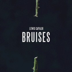 Bruises