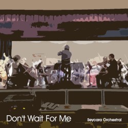 Don't Wait for Me