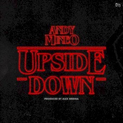 The Upside Down