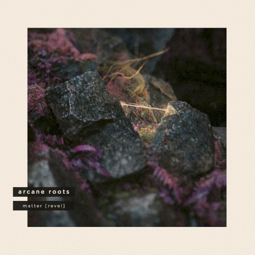 Matter (Revel)