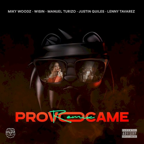 Provócame (remix)