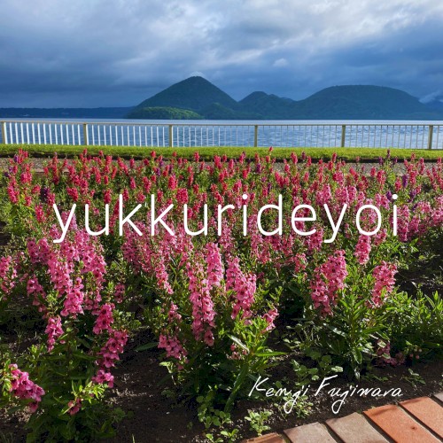yukkurideyoi