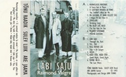 Läbi saju