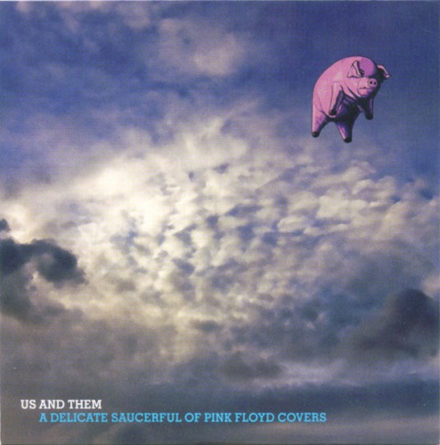 Us and Them: A Delicate Saucerful of Pink Floyd Covers