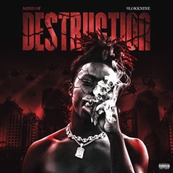 Mind of Destruction