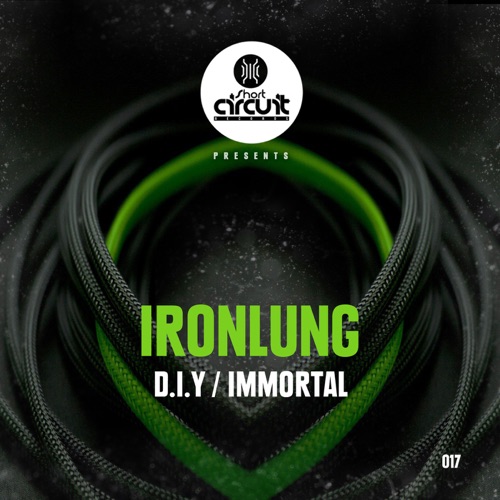 D.I.Y / Immortal