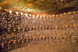 Arched Cellar