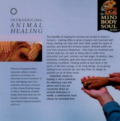 Animal Healing