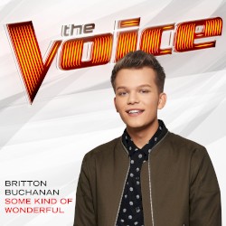 Some Kind of Wonderful (The Voice Performance)