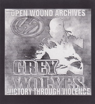 Victory Through Violence