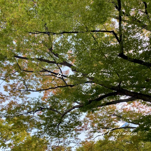 aizu