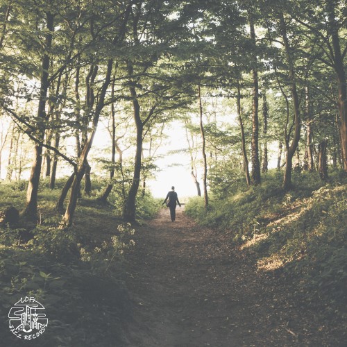 Forest Walk