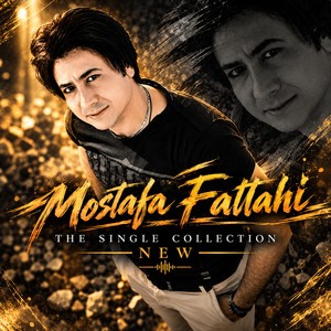The Single Collection New