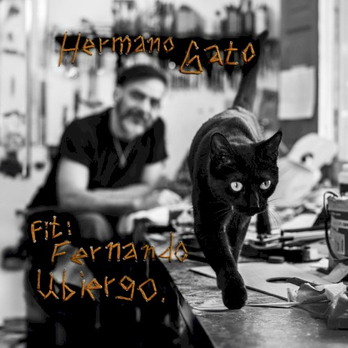 Hermano gato