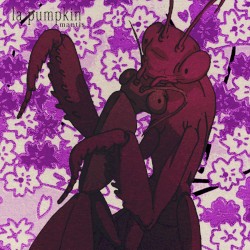 mantis
