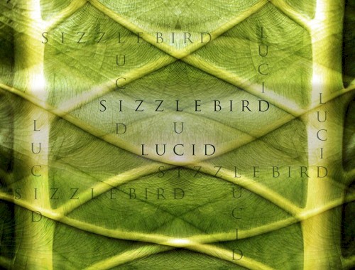 Lucid