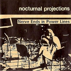 Nerve Ends in Power Lines