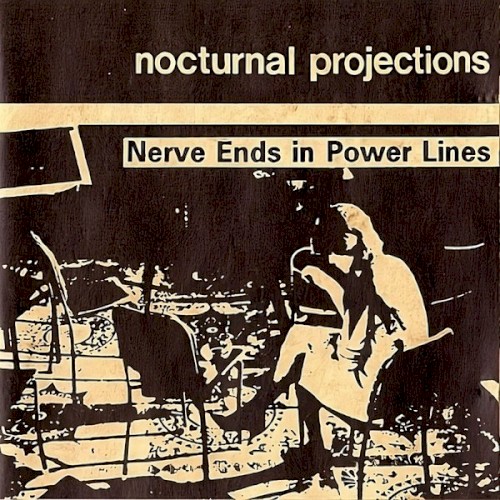 Nerve Ends in Power Lines