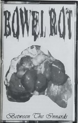 Between The Innards - Promo / Demo Tape '11